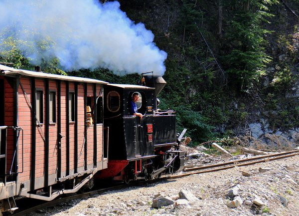 Serie: Kleinbahn in Rumänien (Foto: Karl-Heinz Richter)