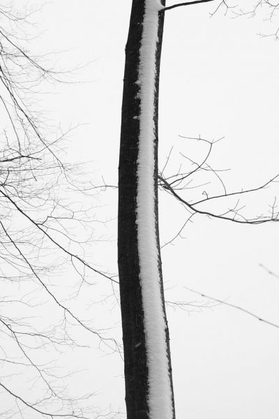 Serie: Winter (Foto: Tilo Bössel)