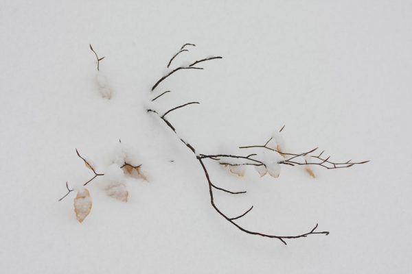 Serie: Winter (Foto: Tilo Bössel)