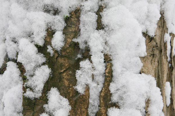 Serie: Winter (Foto: Tilo Bössel)