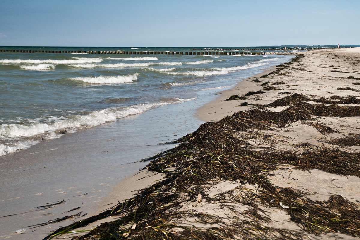 2010-06-25_ostsee_uz-4 Ostsee (Foto: Ute Zohles)
