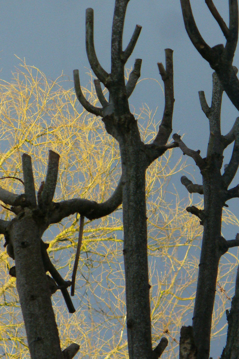 Fotoclub Themar: Fotoausstellung "Menschen Tiere Landschaften" in Hildburghausen