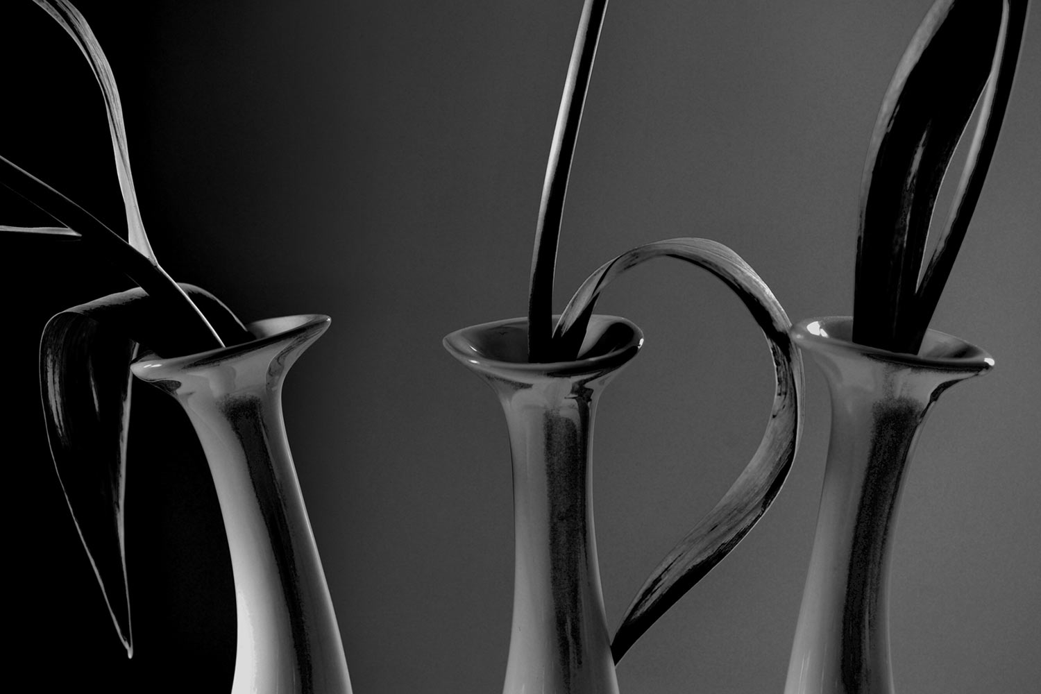 Fotoclub online: Weihnachts-Neujahrskarte