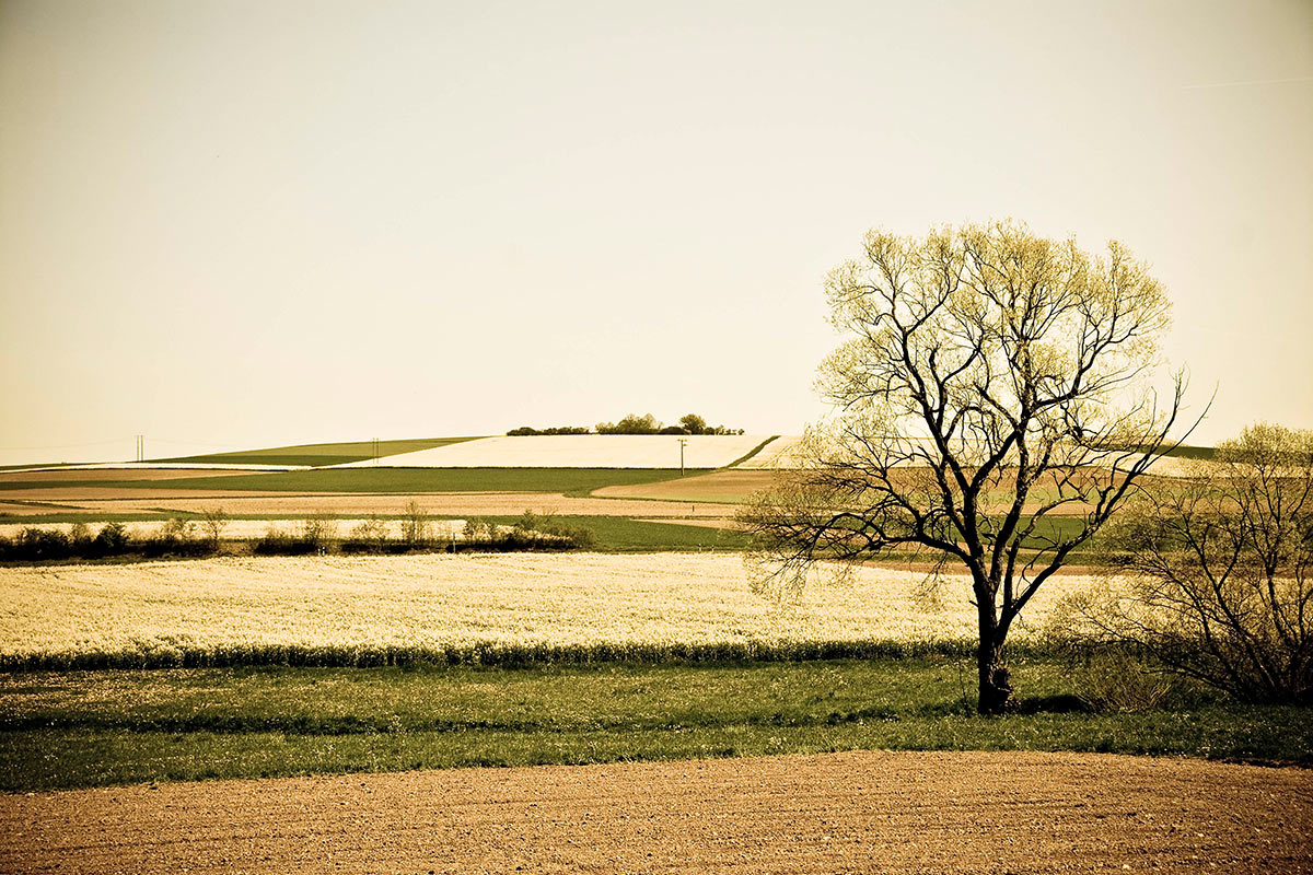Serie: Land (Foto: Peter Zastrow)
