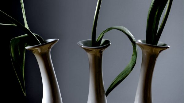 Grazien (Foto: Uli Pfeufer)