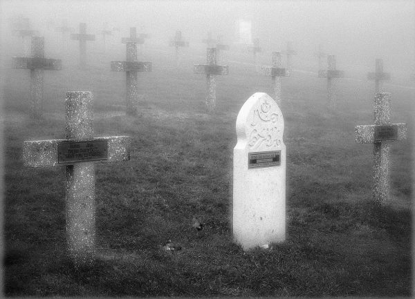 Im Tode vereint (Foto: Karl-Heinz Richter)