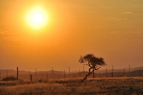 Landschaft (Foto: Uli Pfeufer)