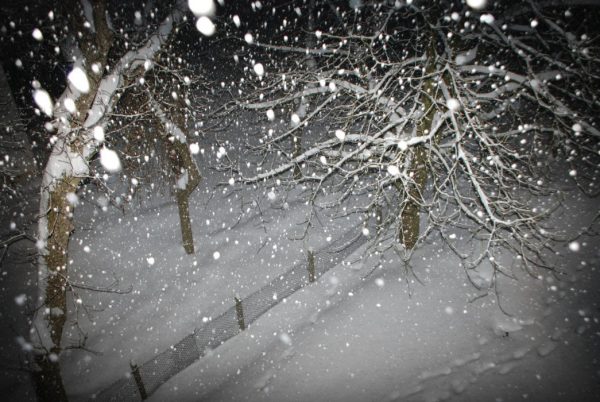 Lichtblitz (Foto: Günter Giese)