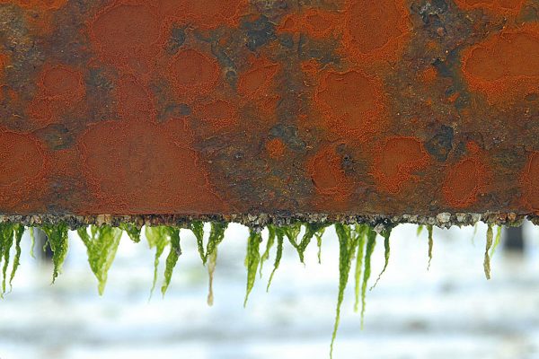Rost-Algie (Foto: Andreas Kuhrt)