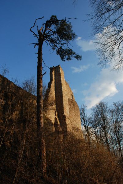 Ruine Henneberg (Foto: Günter Giese)