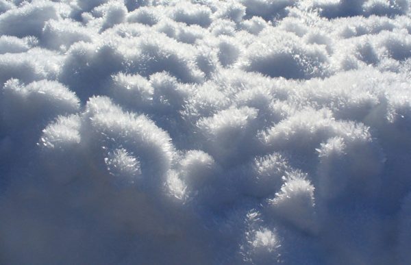 Schneekristalle (Foto: Carolin Fritz)