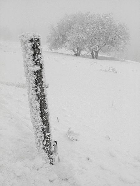 Schneereich (Foto: Andreas Kuhrt)