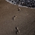 Schritte (Foto: Peter Zastrow)