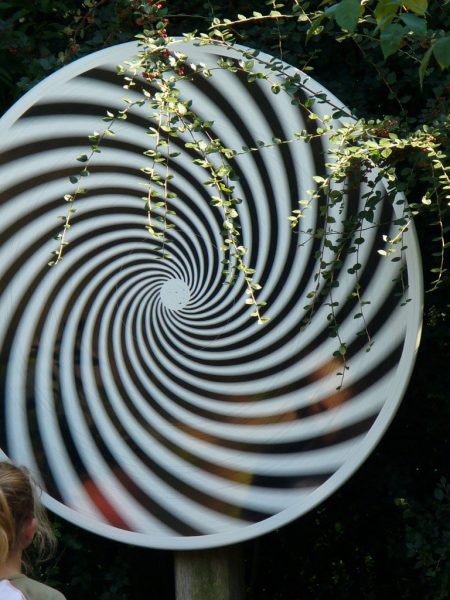 Spirale (Foto: Carolin Fritz)