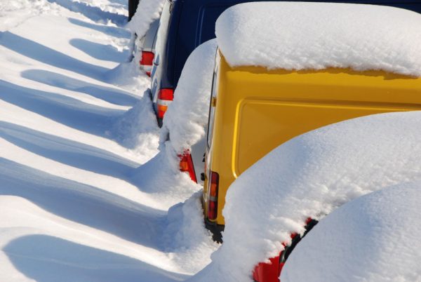 Streiflichter (Foto: Manfred Hiersemann)