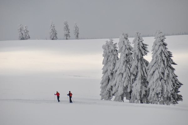 Bei Neustadt am Rennsteig (Foto: Ines Koch)