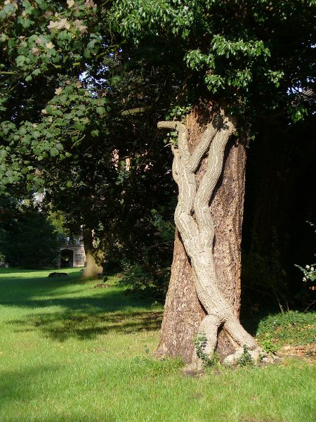 Umarmung (Foto: Carolin Fritz)