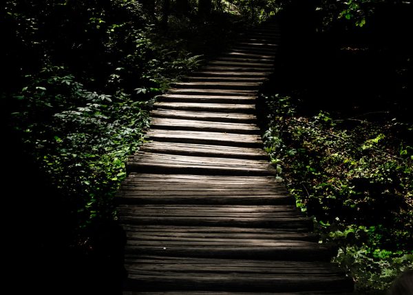 Weg mit Licht (Foto: Peter Zastrow)