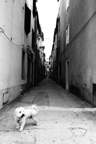 Serie: Gasse (Foto: Peter Zastrow)