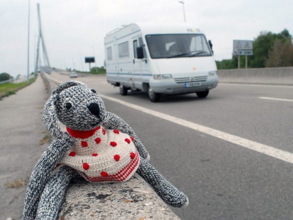 Serie: Hasel auf reisen (Foto: Manuela Hahnebach)