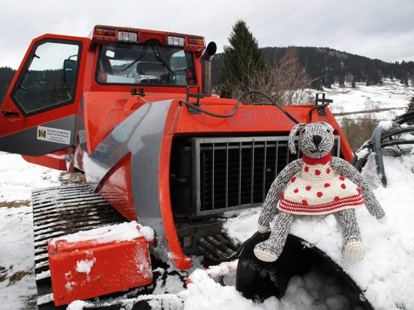 Serie: Hasel auf reisen (Foto: Manuela Hahnebach)