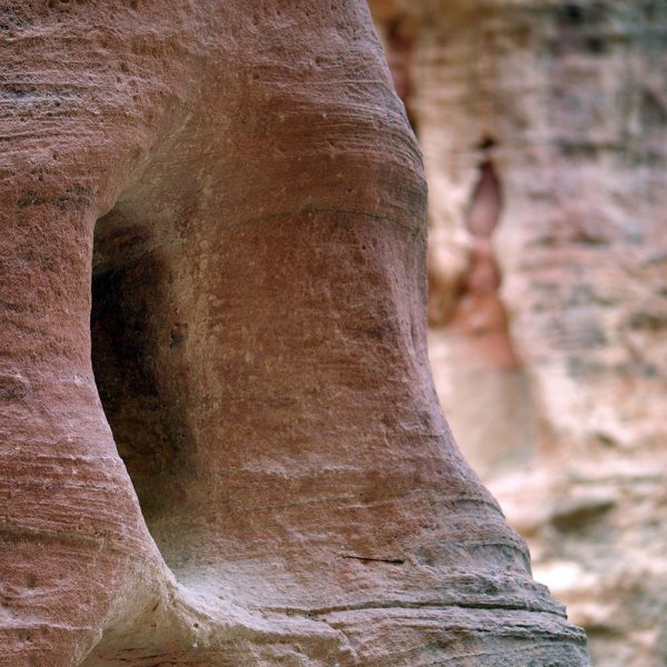 Serie: Petra Stein (Foto: Ute Zohles)