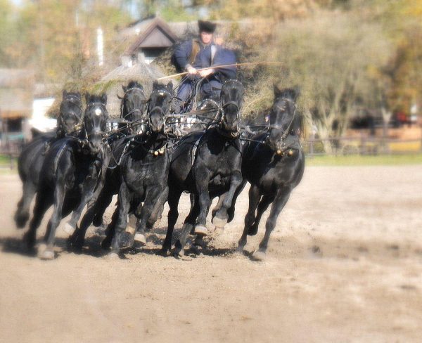 Serie: Pusztafeuer (Foto: Karl-Heinz Richter)