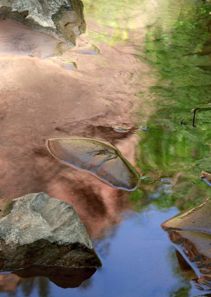 Serie: Reflexionen (Foto: Frank Hausdörfer)