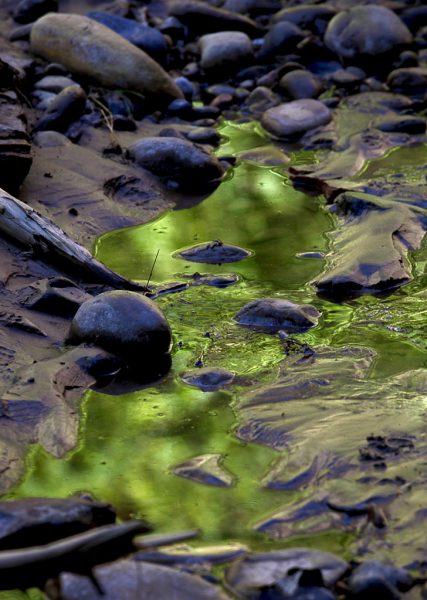 Serie: Reflexionen (Foto: Frank Hausdörfer)