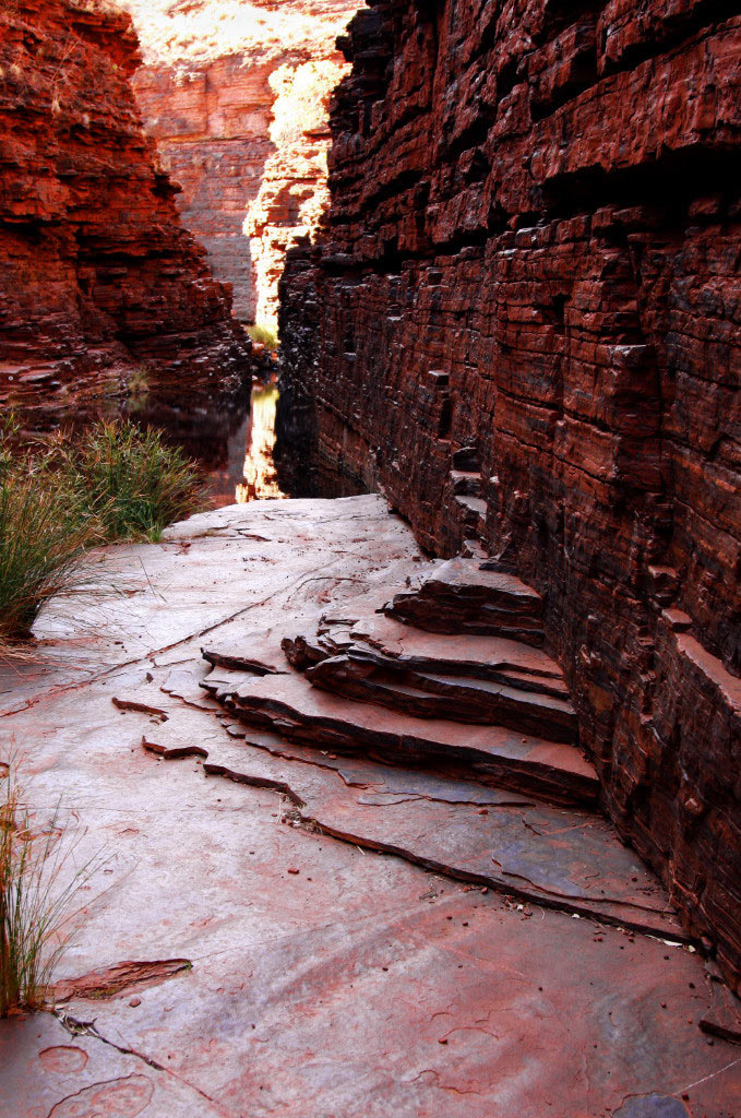 2010-bdj-zz15_Schluchtwanderung3_pms Serie: Schluchtenwanderung in Australien (Foto: Peter Maximilian Schmidt)
