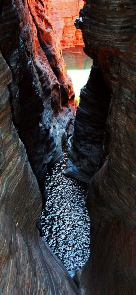 Serie: Schluchtenwanderung in Australien (Foto: Peter Maximilian Schmidt)