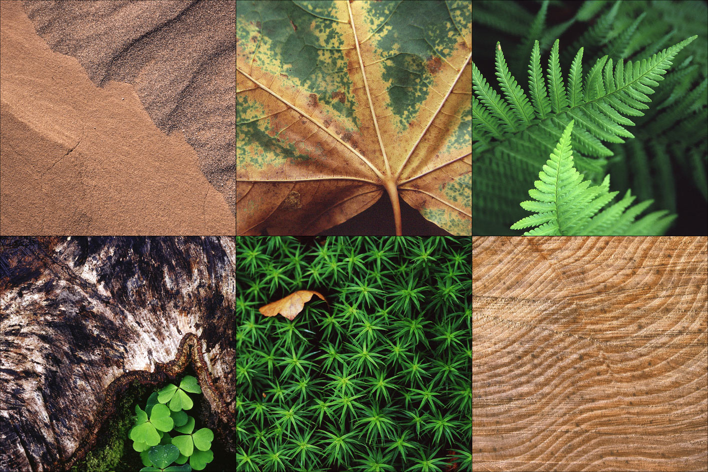 Fotoclub: Kalender 2019