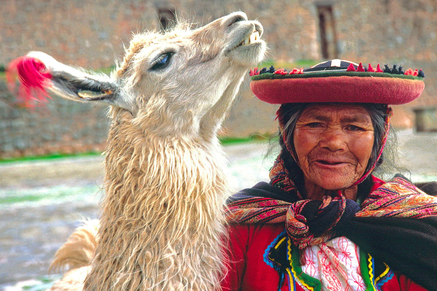2010-reiselust-khr_peru_cusco_duo_fuer_touristen Duo für Touristen, Cusco, Peru (Foto: Karl-Heinz Richter) . Ausstellung Reiselust . Naturhistorisches Museum . Schloss Bertholdsburg . Schleusingen 2010