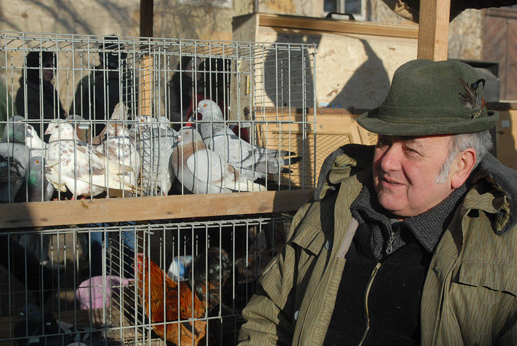 2011-03-05_006_3351_taubenzuechter_manuela-hahnebach-5.66 Taubenzüchter (Foto: Manuela Hahnebach)