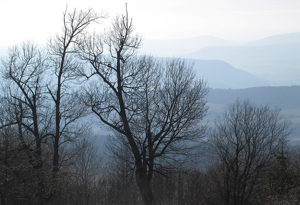 Kaltes Land (Foto: Andreas Kuhrt)