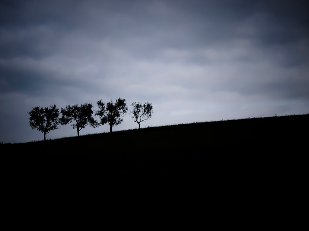 Aufwärts (Foto: Peter Zastrow)