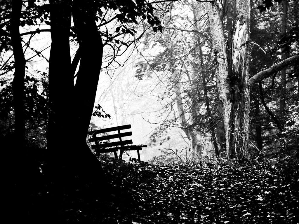 Ruhepunkt (Foto: Peter Zastrow)