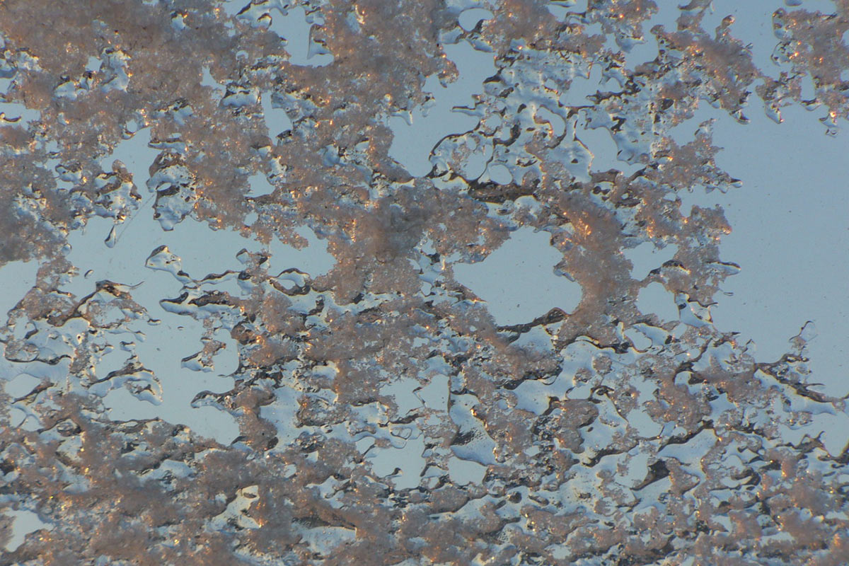 Serie: Schneekristalle (Foto: Carolin Fritz)