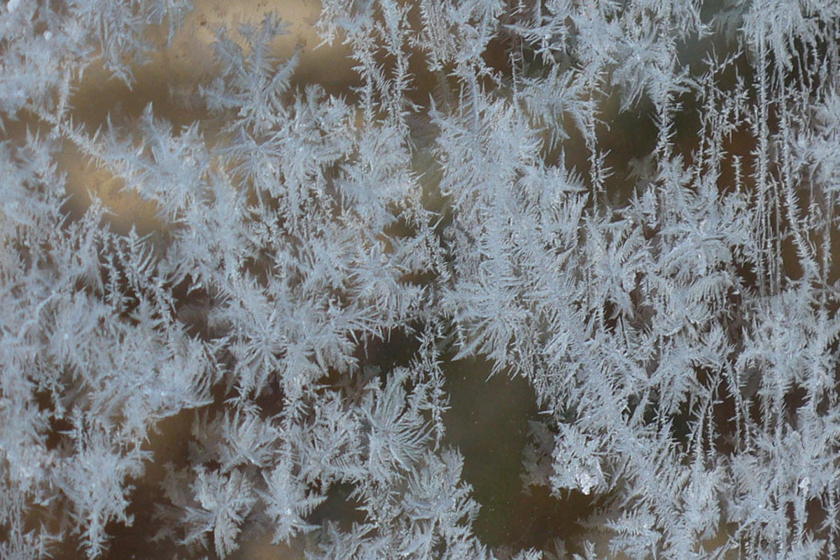 Serie: Schneekristalle (Foto: Carolin Fritz)
