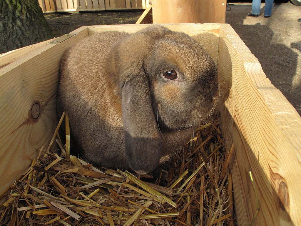 Serie: Kalter Markt Römhild (Foto: Andreas Kuhrt)