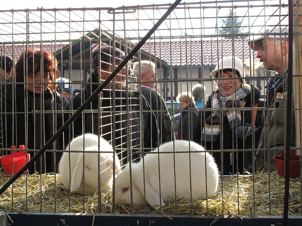 Serie: Kalter Markt Römhild (Foto: Andreas Kuhrt)
