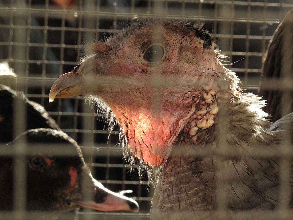 Serie: Kalter Markt Römhild (Foto: Andreas Kuhrt)