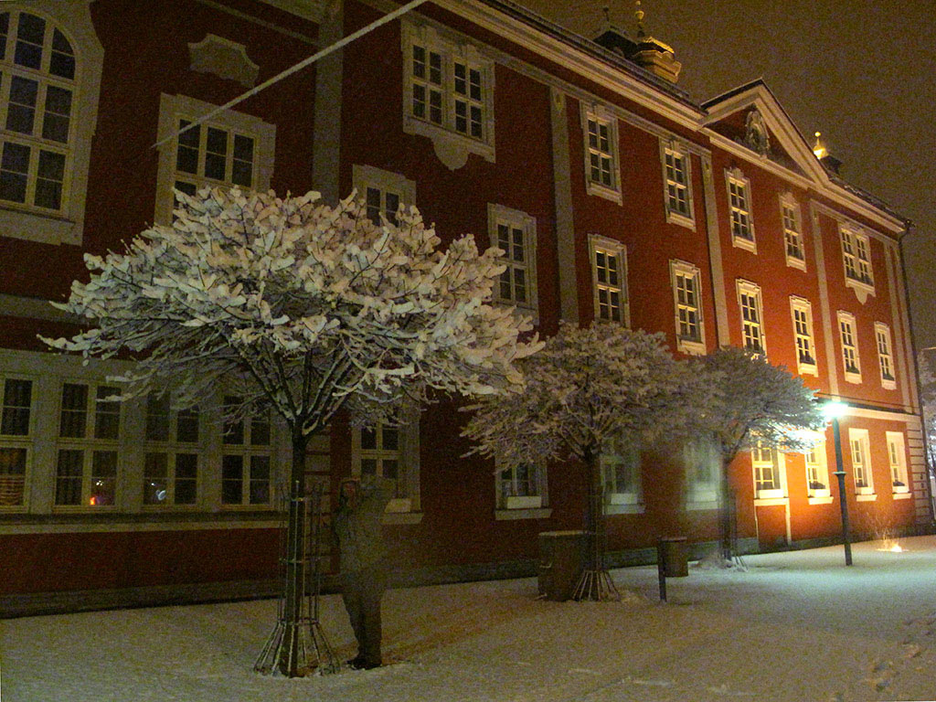 Serie: Bäumchen, rüttle dich (Foto: Manuela Hahnebach)