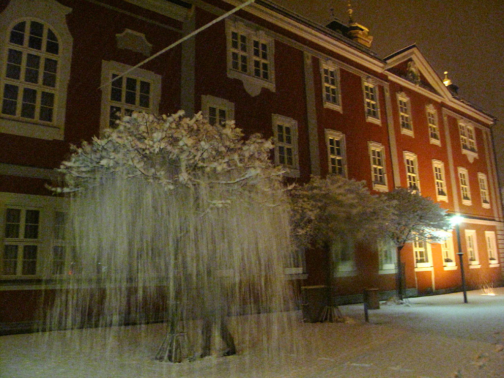 Serie: Bäumchen, rüttle dich (Foto: Manuela Hahnebach)