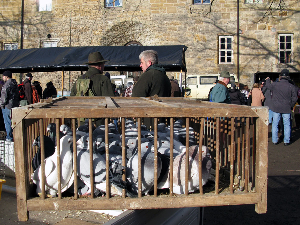 Serie: Menschen, Tiere, Sensationen (Foto: Peter Maximilian Schmidt)