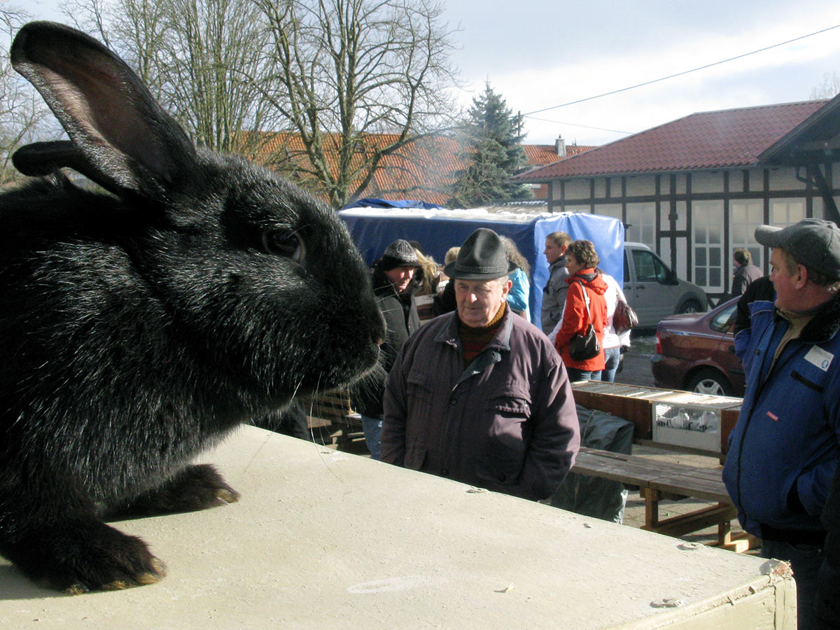 Serie: Menschen, Tiere, Sensationen (Foto: Peter Maximilian Schmidt)