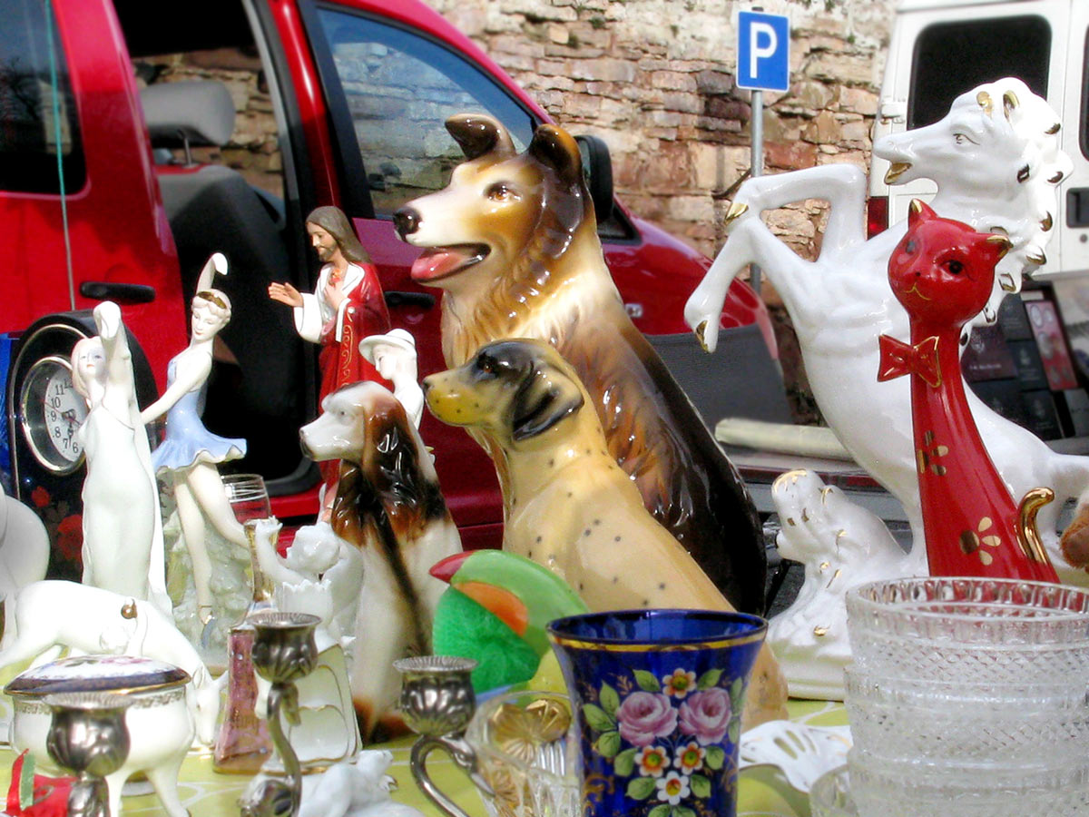 Serie: Menschen, Tiere, Sensationen (Foto: Peter Maximilian Schmidt)