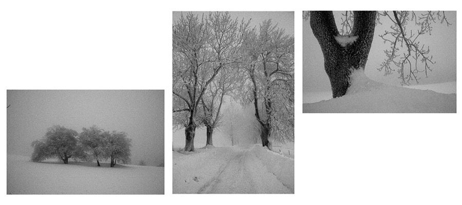 Serie: Monochrom (Foto: Peter Zastrow)