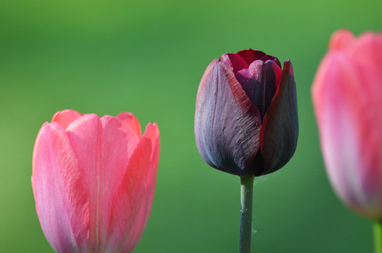 Fotoclub: Bild des Quartals 3.2025