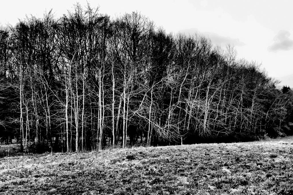 Fotoclub: Bild des Quartals 3.2025